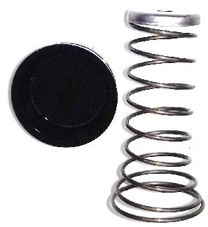 Replacement internal spring and expander
