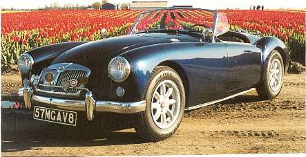 Lyle Lacobson's MGA at tulip field